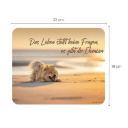 Mousepad 'Das Leben stellt...'
