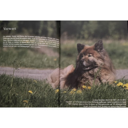Buch "Der Eurasier"