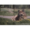 Buch "Der Eurasier"