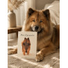Buch "Der Eurasier"