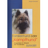 Familienhund oder 'Kampfhund'