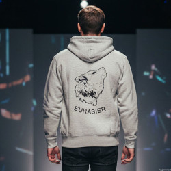 Hoodie silbergrau